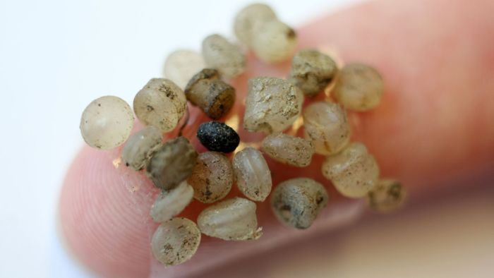 Forscher finden erstmals Mikroplastik in menschlichen Stuhlproben