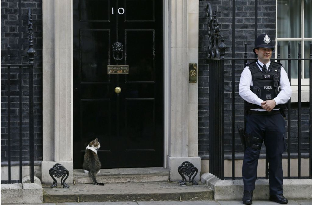Kater Larry wartet auf Einlass in der Downing Street No. 10.