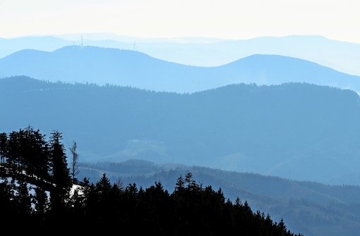 Die Wildnis fehlt noch, doch das Etikett Nationalpark klebt bereits an der Region: Blick vom Schliffkopf in Richtung Horinsgrinde Foto: dpa