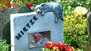 Für manche eine totale Übertreibung, für andere ein ganz normaler Ausdruck von Tierliebe: ein Katzengrab in Stuttgart. Foto: Achim Zweygarth