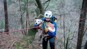 Bergwacht rettet abgestürzten Hund