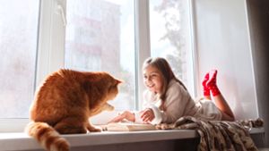 Sich  das Leben im Katzenhimmel auszumalen, kann Kindern helfen
