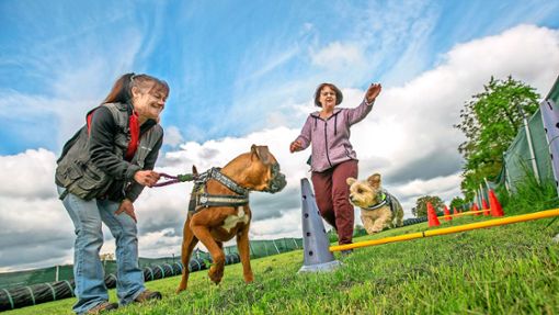 Mäggi Hetzinger (im Vordergrund)  und Anja Reinelt auf einem Trainingsplatz für Hunde in Hohengehren Foto: Roberto Bulgrin