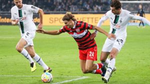 VfB geht nach zwei frühen Gegentoren als Verlierer vom Platz