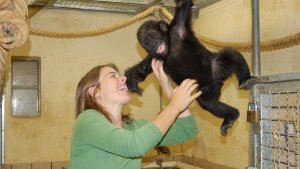 Gorillamädchen Claudia ist zurück