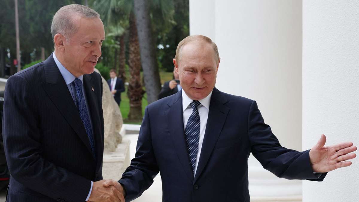 Wahlsieg von Putins Gnaden?: Erdogans Geldsorgen