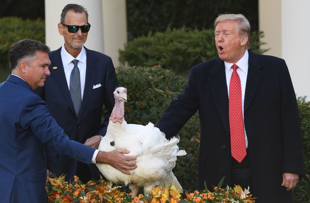 Der US-Präsident begnadigt einen Truthahn am staatlicher Feiertag Thanksgiving. Foto: AFP/SAUL LOEB