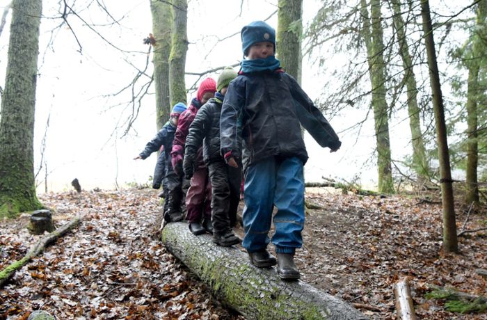 Landschaftsschutz in Heumaden: Was passiert mit dem Naturkindergarten?