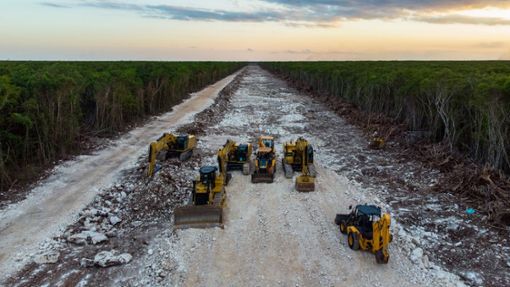 Für die Trasse wurden im Maya-Dschungel auf mehr als 100 Kilometern Bäume abgeholzt. Foto: dpa/Fernando Martinez Belmar
