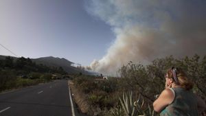 Das Feuer hat schon rund 2500 Hektar Pinienwald im Süden der Kanaren-Insel zerstört. Foto: AFP