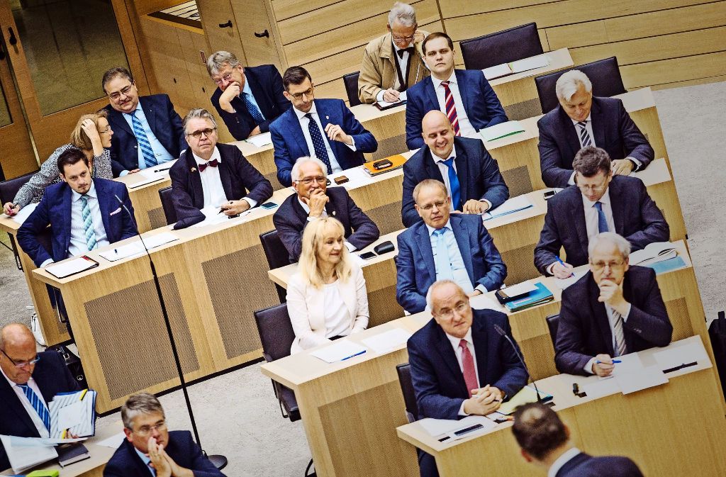 Die Fraktion der AfD im Landtag – fleißig und mit einem dominierenden politischen Thema. Foto: dpa