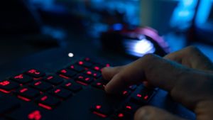 IT-Sicherheit: Hackerangriff auf Webseiten von Regierung und Polizei im Nordosten