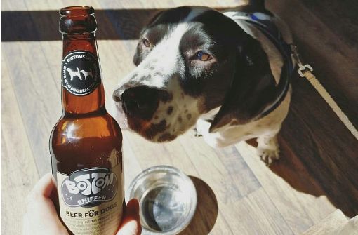 Auf den Hund gekommen: Brauer machen jetzt auch Bier für Vierbeiner. Foto: BrewDog