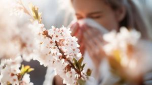 Pollen sind für Allergiker eine Last. (Symbolbild) Foto: IMAGO/imagebroker/IMAGO/imageBROKER/Firn