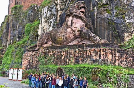 Die Gruppe hat sich den gigantischen Löwen in Belfort Foto: Tobias-Mayer-Gemeinschaftsschule