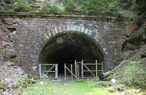 In dem alten Hirsauer Tunnel bei Calw  soll eigentlich eine neue Bahn fahren, doch hier überwintern geschützte Fledermäuse. Foto:  