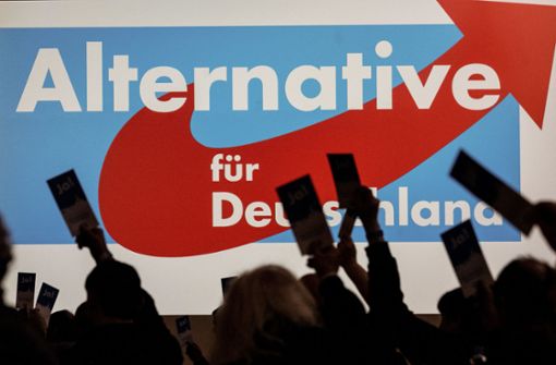 Die AfD liegt laut einer neuen Umfrage vor der Union (Symbolbild). Foto: dpa/Swen Pförtner