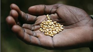 Die Welternährungsorganisation (FAO) rechnet in diesem Sommer mit einer Verschärfung der Nahrungsmittelkrise in Teilen Afrikas (Symbolfoto). Foto: imago/epd/imago stock&people