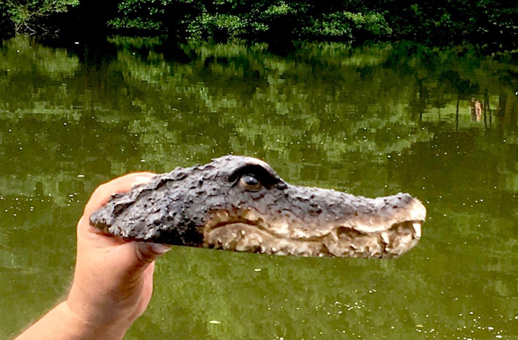 Die Krokodil-Attrappen können schon Schrecken auslösen. Foto: 7aktuell/Stadt Kirchheim