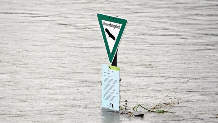 Regenfälle lassen Rhein weiter anschwellen