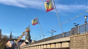 In Konstanz werben die Fasnachtsvereine auf Flaggen, die auch an der Rheinbrücke hängen,  und unter dem Hashtag #HoNarroDehom für eine  Fasnacht zu Hause. Foto: privat