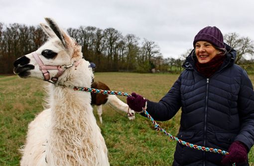 Claudia Ade besitzt zehn Lamas und Alpakas, die Jung und Alt begeistern. Sie schätzt die Neugier und Ruhe der possierlichen Tiere. Foto: Marta Popowska