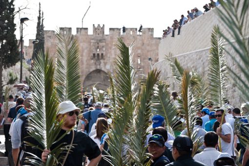 Menschen am Palmsonntag in Jerusalem (2011)