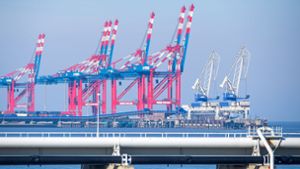 Noch im Dezember soll das schwimmende LNG-Terminal am Jade-Weser-Port in Wilhelmshaven festmachen. Foto: dpa/Sina Schuldt