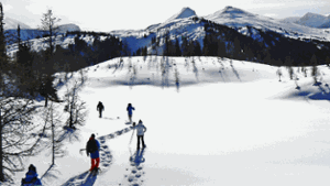 Winterwunderland ohne Kitschfaktor: Nur wenige Meter vom Skigebiet Sunshine Village entfernt lädt ein Hochplateau zum Schneeschuhwandern ein.  Foto: SoAk