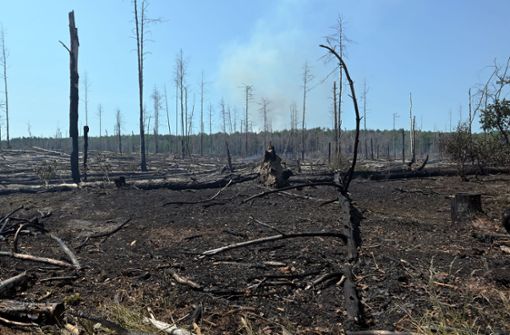 Verbrannter Wald bei Jüterbog. Der Waldbrand in dem ehemaligen Truppenübungsgebiet dort ist immer noch nicht gelöscht. Foto: Michael Bahlo/dpa/Michael Bahlo