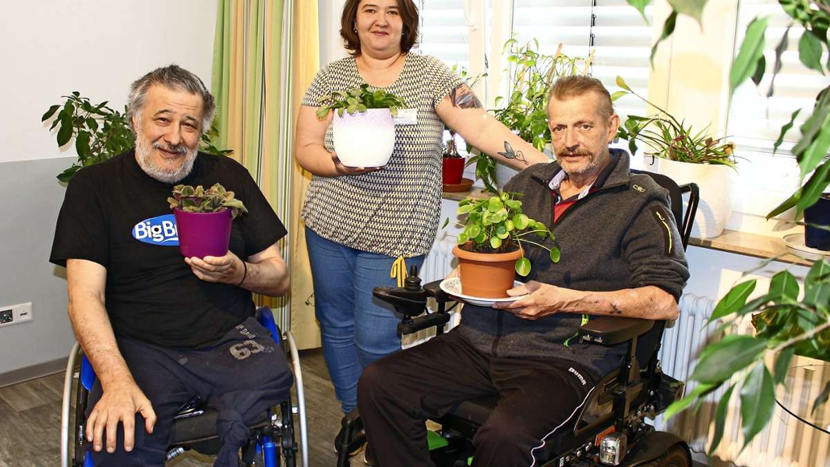 Nach Aufruf auf Facebook: Viele Pflanzenspenden für Esslinger Pflegestift