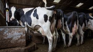 Milch zum Billigpreis: Lidl lenkt ein