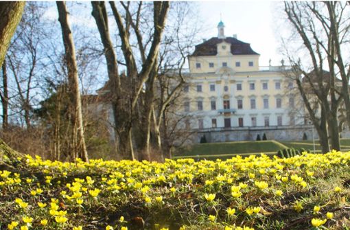 Ludwigsburg ist beliebt – auch wegen seines Schlosses und des Blühenden Barocks. Foto: Archiv