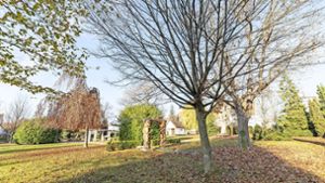 Gemeinderat will naturnahen Park
