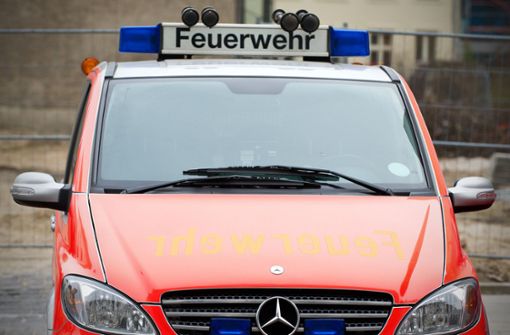 Die Feuerwehr war mit zwei Fahrzeugen und 8 Einsatzkräften vor Ort (Symbolbild). Foto: dpa/Jan-Philipp Strobel