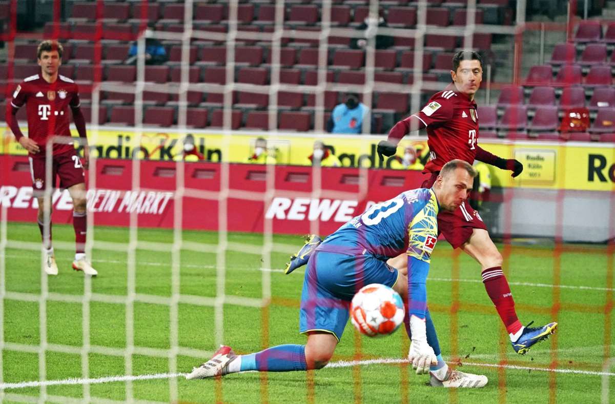 Tor-Phänomen Robert Lewandowski überwindet Kölns Keeper Marvin Schwäbe  zum 3:0, insgesamt traf er dreimal. Foto: imago/Chai v.d. Laage/Gladys Chai