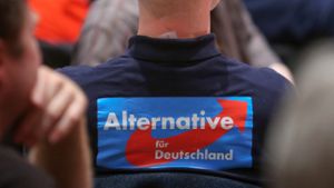Die AfD liegt im „Deutschlandtrend“ weiter zu. Foto: dpa
