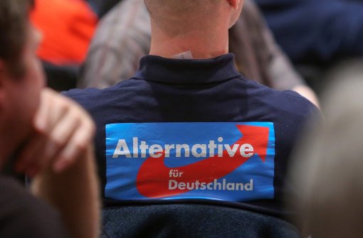 Die AfD liegt im „Deutschlandtrend“ weiter zu. Foto: dpa