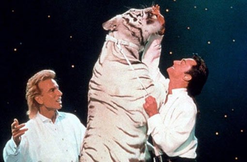 Die Magier Siegfried (links) und Roy mit einem ihrer weißen Tiger bei einem Auftritt in Las Vegas (undatiertes Archivfoto). Foto: dpa