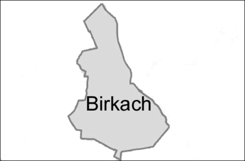Stuttgarts kleinster Stadtbezirk heißt Birkach. 3237 Haushalte gibt es hier insgesamt. In 1528 leben nur je eine Person. Auffallend sind hier die verhältnismäßig vielen Haushalte unter 30 Jahre (474).