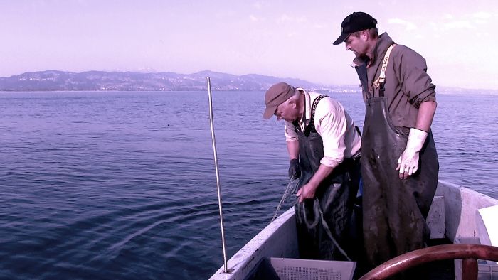 Ausgefischt? Die Fischer vom Bodensee