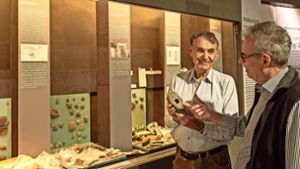 Besuch während des Ausstellungsaufbaus: Der Kurator Tiberius Bader erklärt ein Beil, das sich ein Steinzeitmensch als Werkzeug mühsam geschaffen hat. Foto: factum/Weise