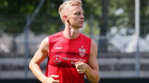 Van der Vaart kritisiert Ex-VfB-Spieler scharf