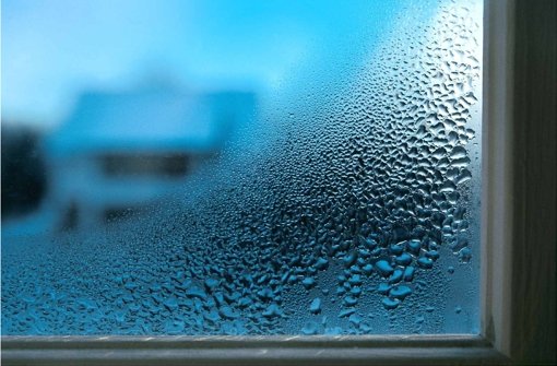 Optimale Bedingungen für Schimmelpilze: Kühle Außentemperaturen und warme Raumluft sorgen für Feuchtigkeit am Fensterrahmen. Foto: dpa