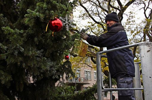 Christbaumkugeln, Päckchen und Weihnachtssterne: Der Baum vor dem Bezirksrathaus hat am Donnerstag seinen Schmuck bekommen. Foto: Bernd Zeyer