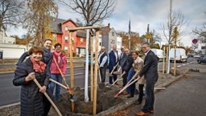 Hat hier jemand etwas falsch verstanden? Die Aktion heißt eigentlich „100 Bäume in 10 Jahren“ und  nicht „9 Gärtner für 1 Bäumchen“. Foto: Wohnungsbau Ludwigsburg