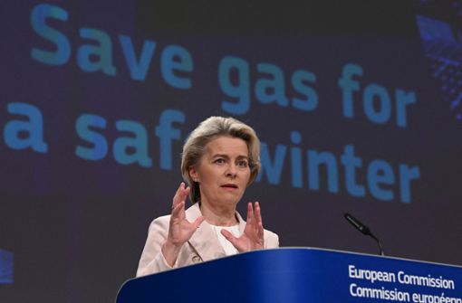 EU-Kommissionschef Ursula von der Leyen will, dass die EU-Länder im Sommer Gas sparen, um sicher durch den Winter zu kommen. Foto: AFP/JOHN THYS