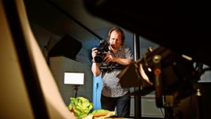 Großer Auftritt für einen Salatkopf: Peter Oppenländer beim Food-Fotoshooting in seinem Waiblinger Studio Foto: Gottfried Stoppel