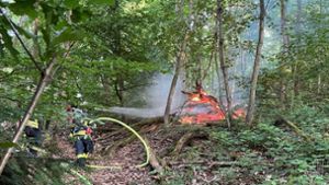 Waldbrand ruft Feuerwehr auf den Plan