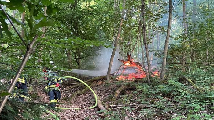 Waldbrand ruft Feuerwehr auf den Plan